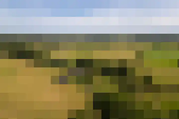 Den Broekweg 3 Brummen thumbnail 82