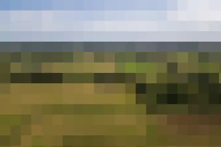Den Broekweg 3 Brummen thumbnail 83