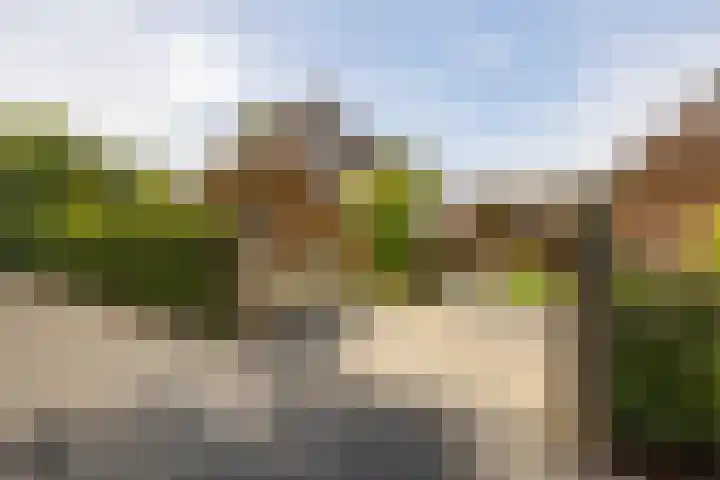 Den Broekweg 3 Brummen thumbnail 85