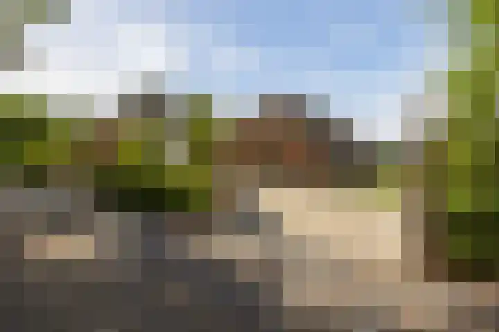 Den Broekweg 3 Brummen thumbnail 86