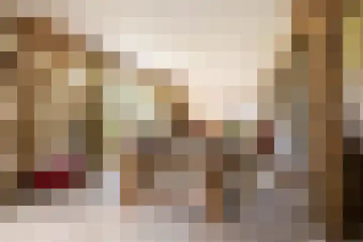 Den Broekweg 3 Brummen thumbnail 9