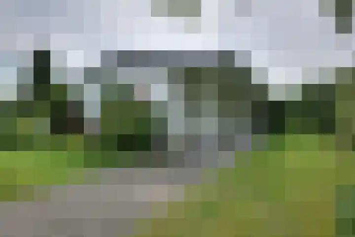 den Bruijl 33 Velp thumbnail 13