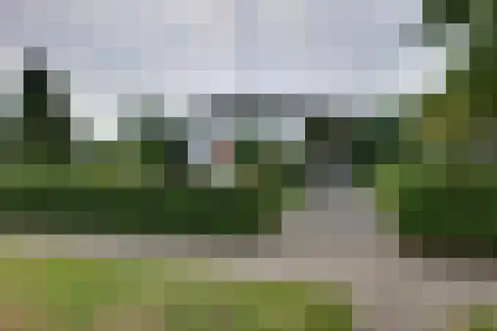 den Bruijl 33 Velp thumbnail 14