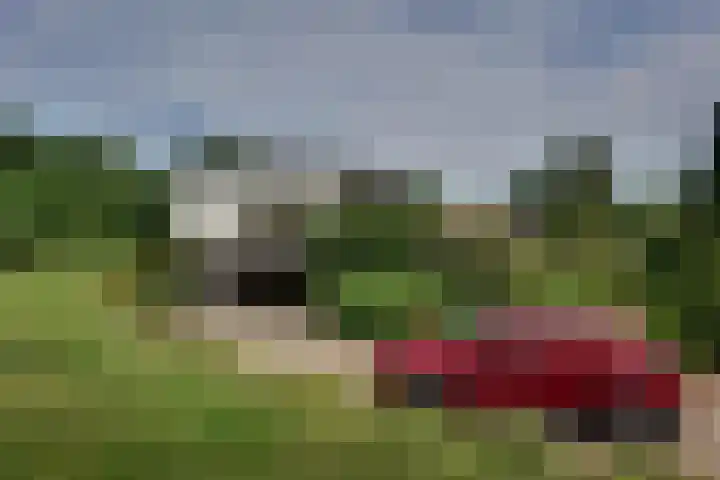 den Bruijl 33 Velp thumbnail 20