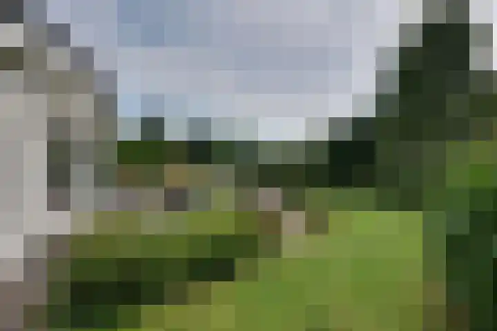 den Bruijl 33 Velp thumbnail 22