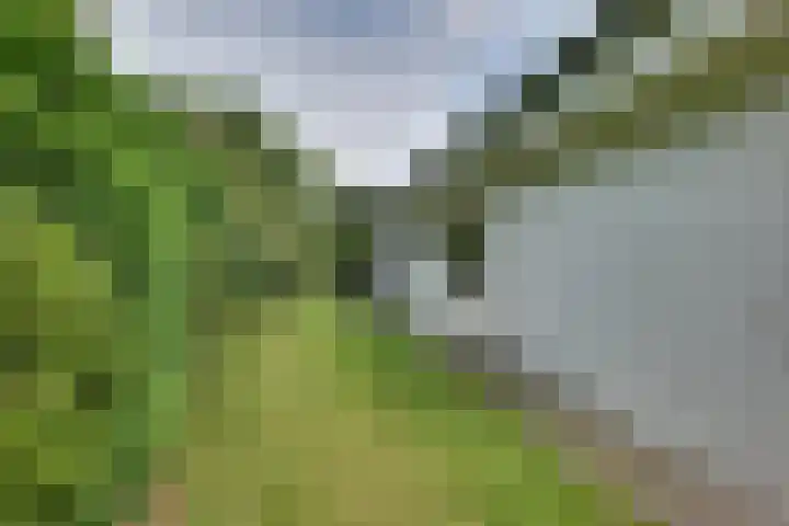 den Bruijl 33 Velp thumbnail 23