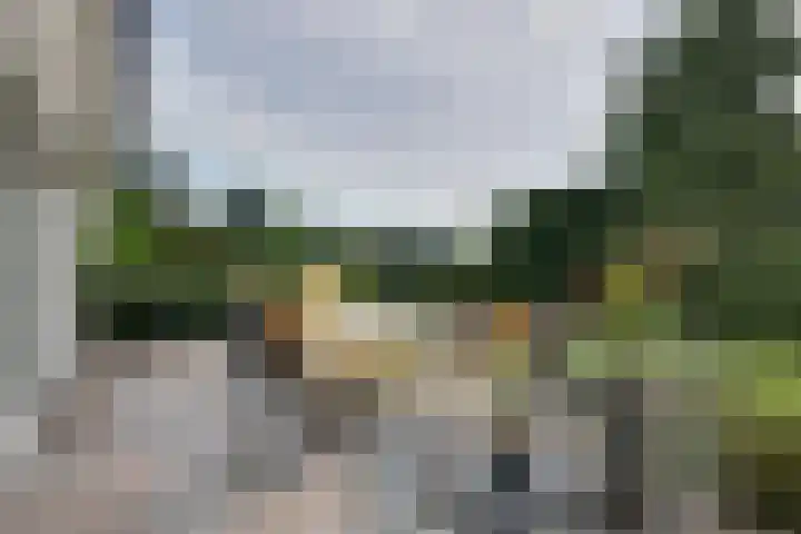 den Bruijl 33 Velp thumbnail 24