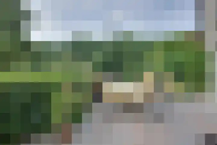 den Bruijl 33 Velp thumbnail 25