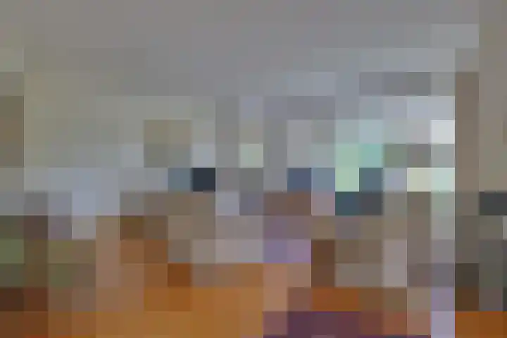 den Bruijl 33 Velp thumbnail 33