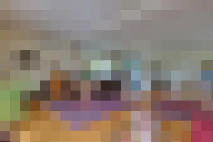 den Bruijl 33 Velp thumbnail 37