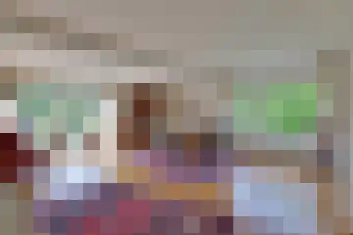 den Bruijl 33 Velp thumbnail 4