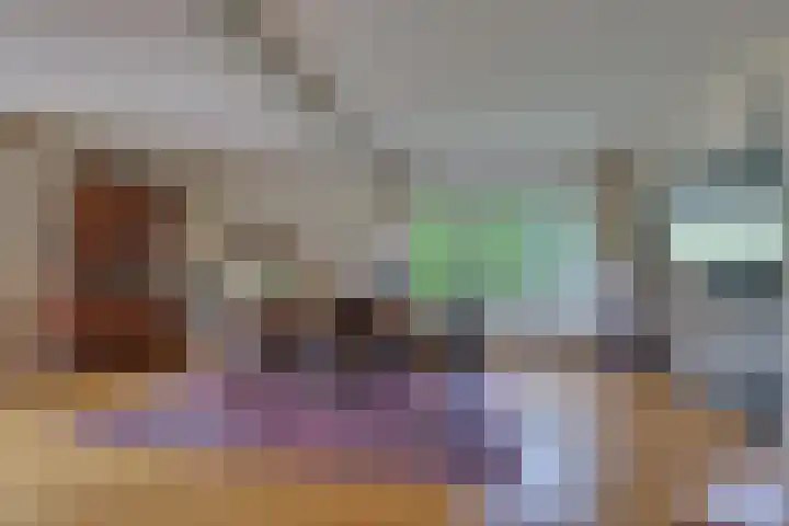 den Bruijl 33 Velp thumbnail 40