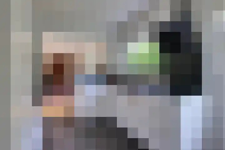 den Bruijl 33 Velp thumbnail 5