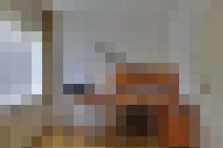 den Bruijl 33 Velp thumbnail 58