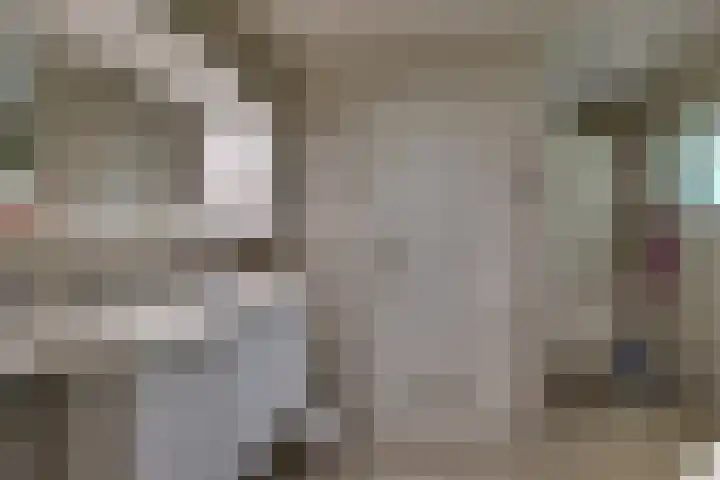 den Bruijl 33 Velp thumbnail 6