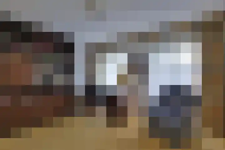 den Bruijl 33 Velp thumbnail 61