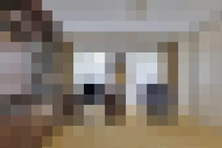den Bruijl 33 Velp thumbnail 62