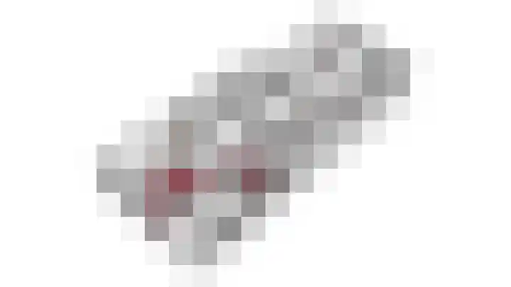 den Bruijl 33 Velp thumbnail 71