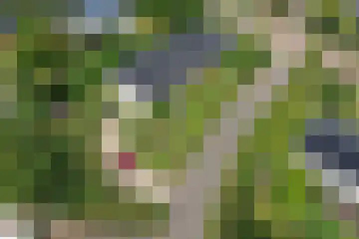 den Bruijl 33 Velp thumbnail 80