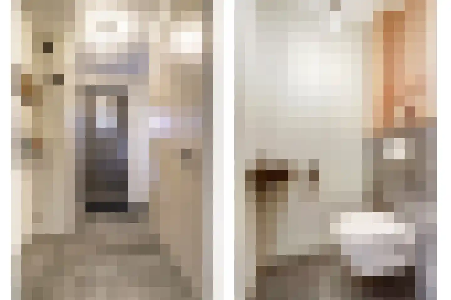 Den Bullick 5 Ochten thumbnail 10