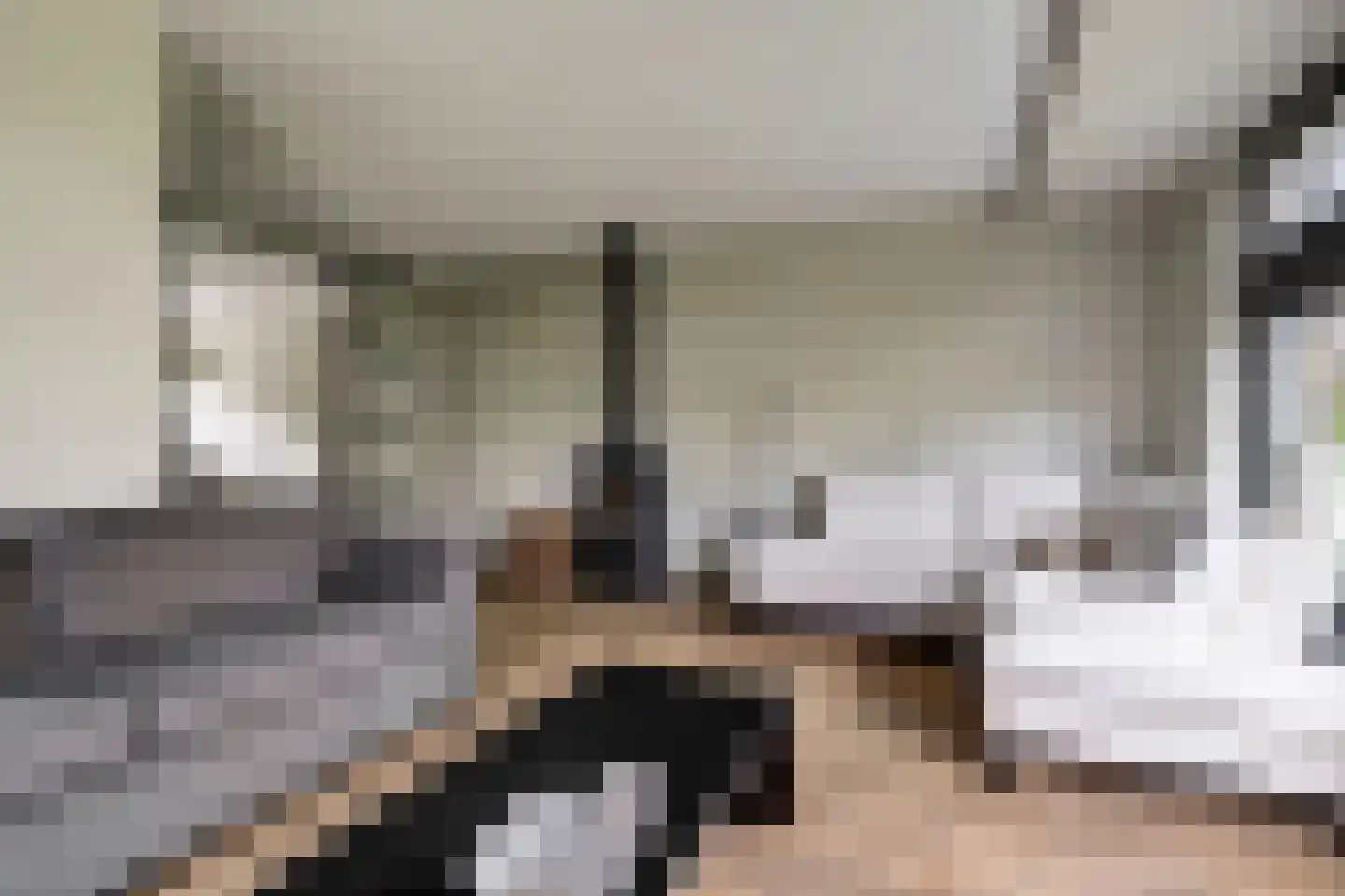 Den Bullick 5 Ochten thumbnail 16