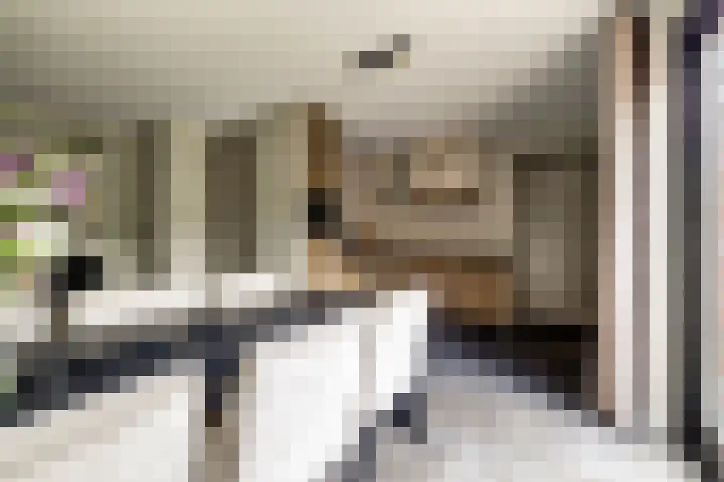 Den Bullick 5 Ochten thumbnail 22
