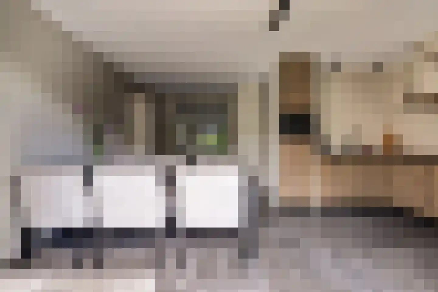 Den Bullick 5 Ochten thumbnail 23
