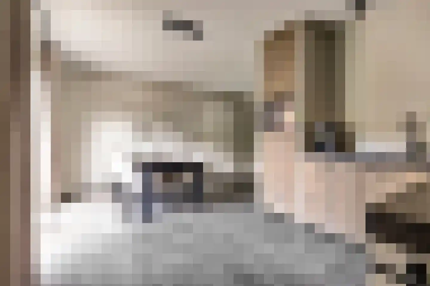 Den Bullick 5 Ochten thumbnail 27