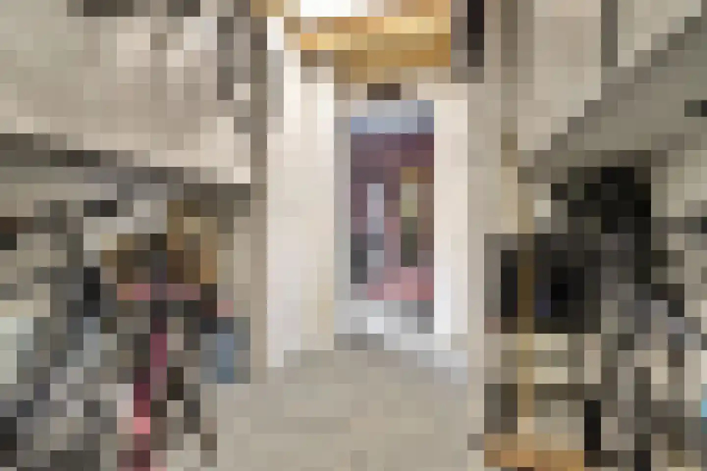 Den Bullick 5 Ochten thumbnail 32