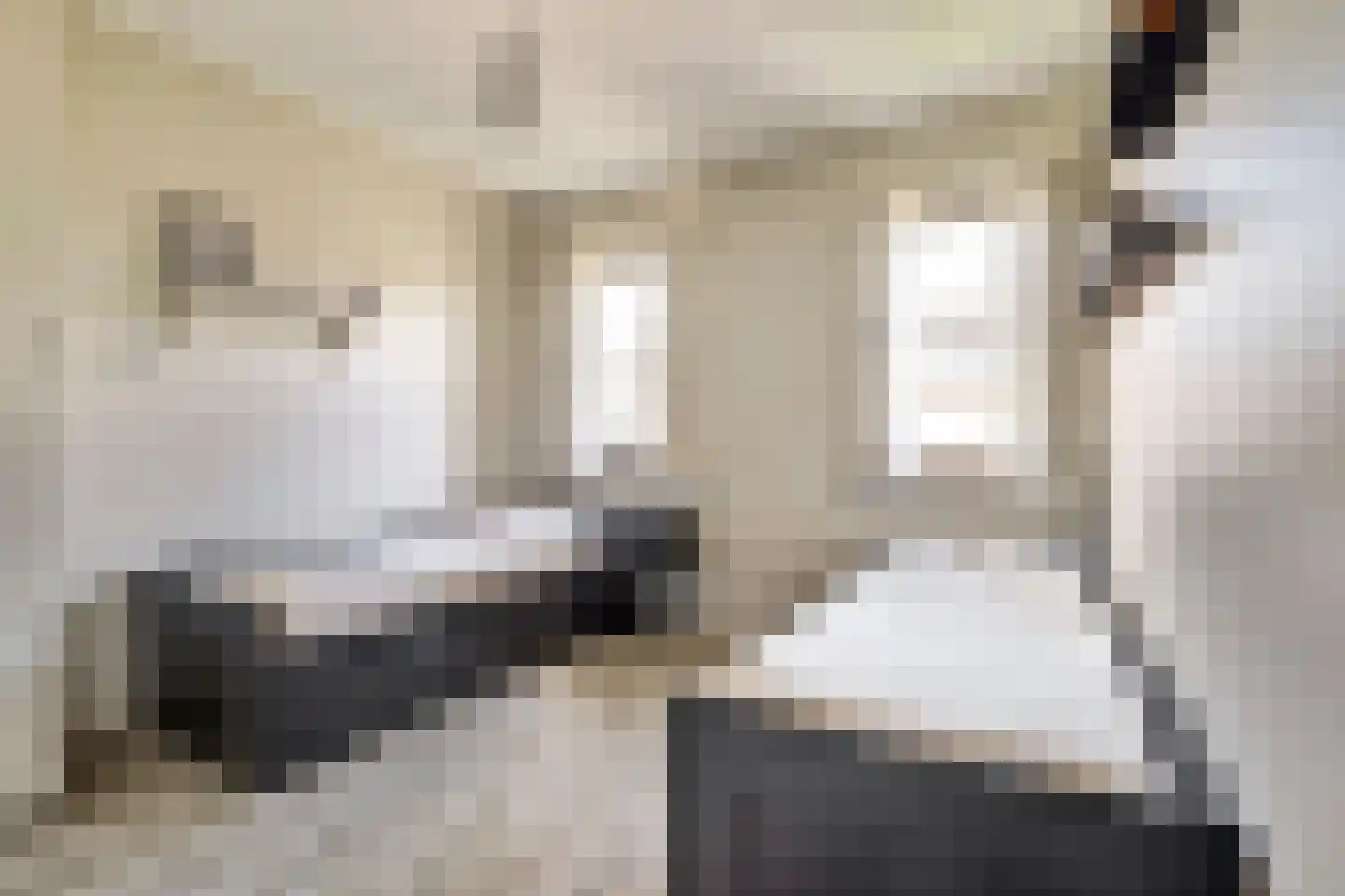 Den Bullick 5 Ochten thumbnail 42