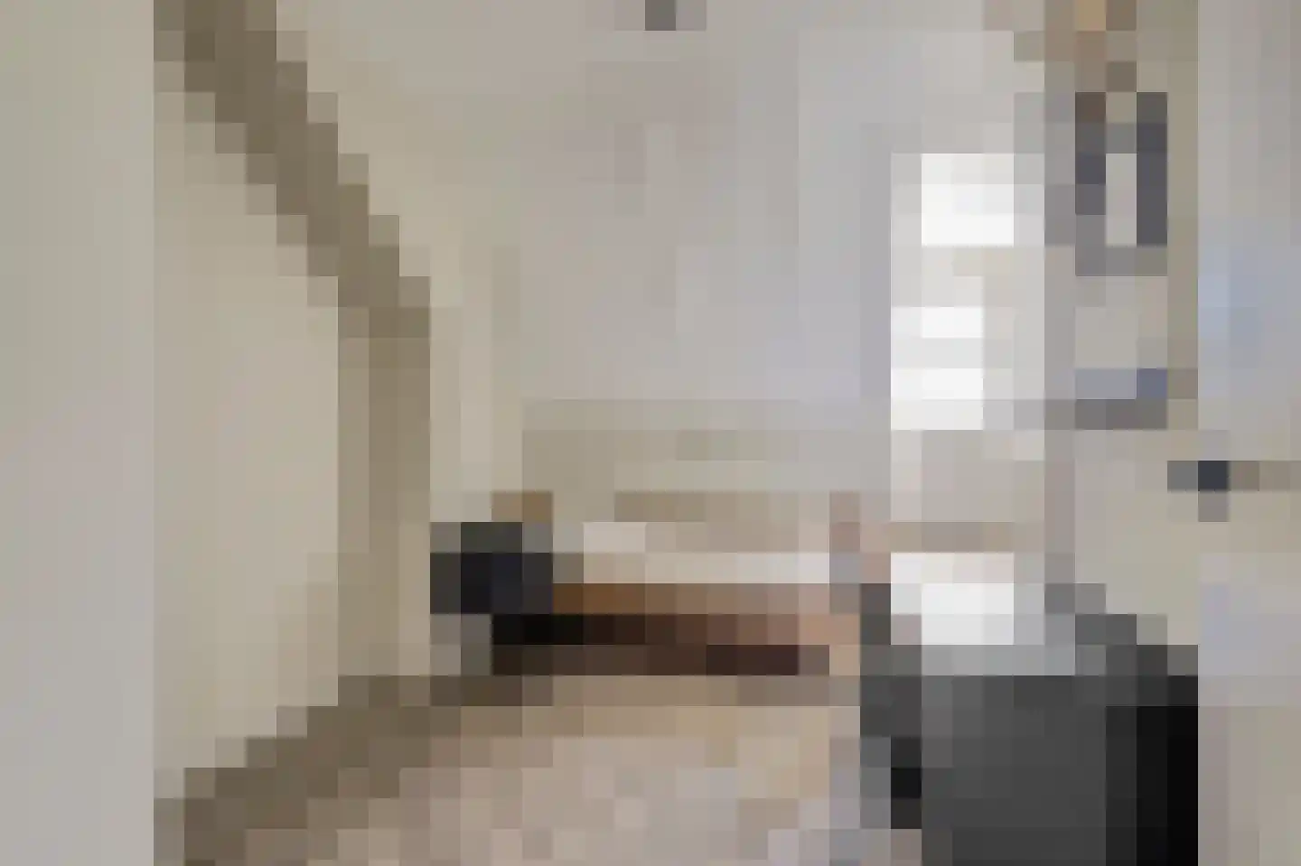 Den Bullick 5 Ochten thumbnail 46