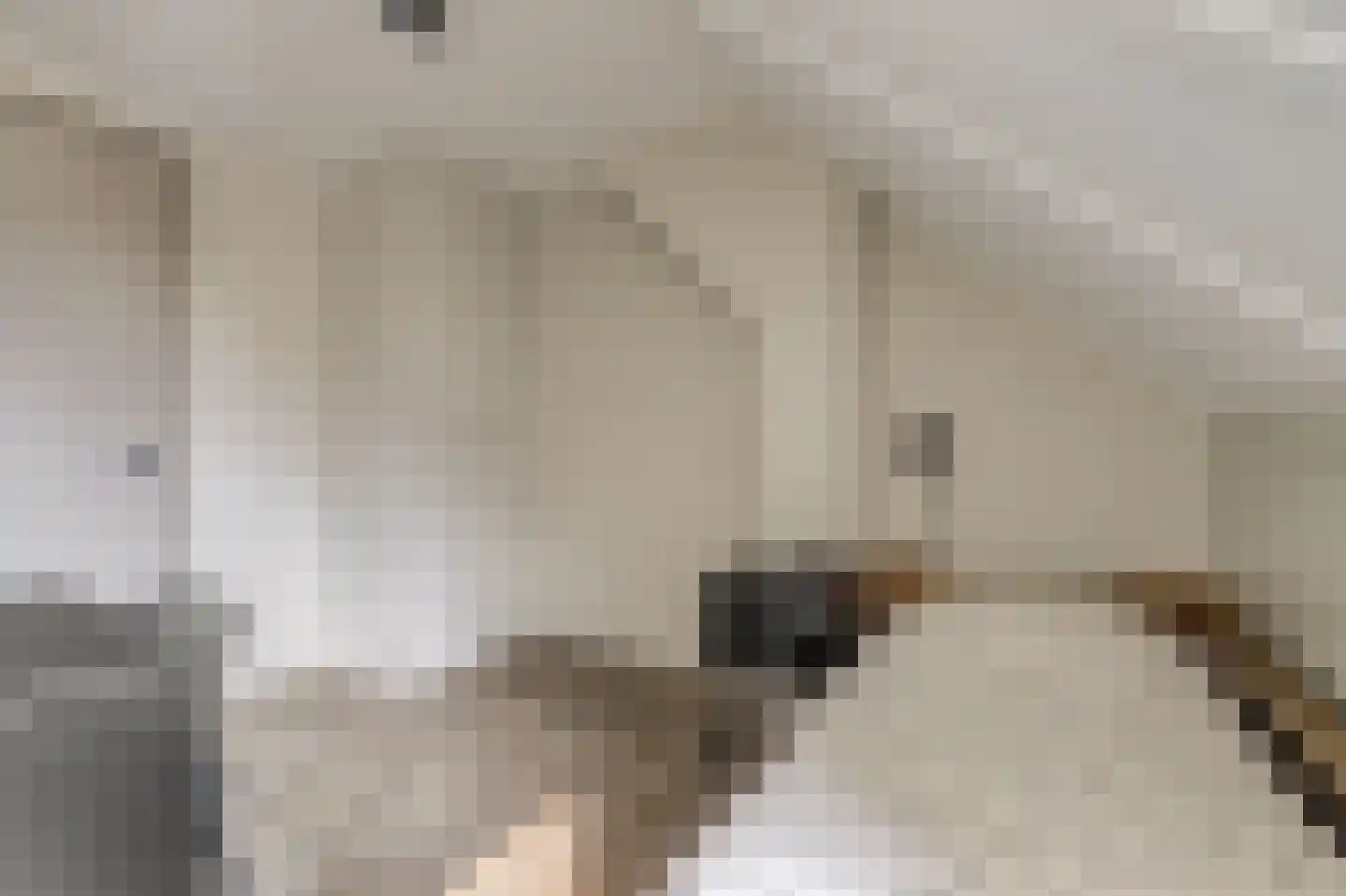 Den Bullick 5 Ochten thumbnail 48