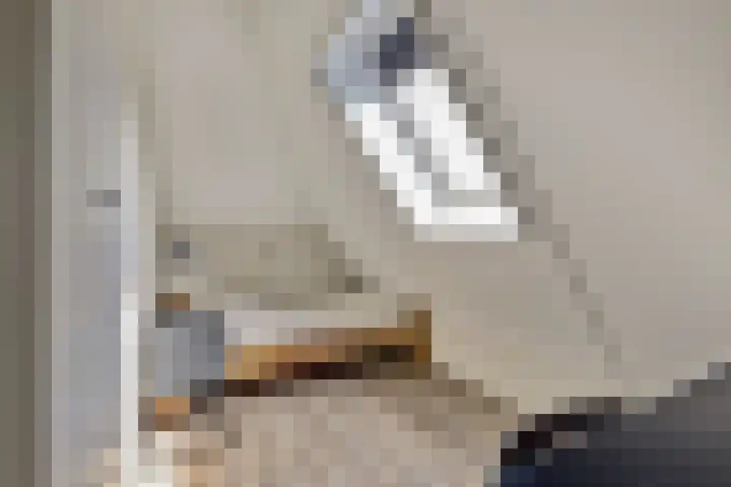 Den Bullick 5 Ochten thumbnail 58