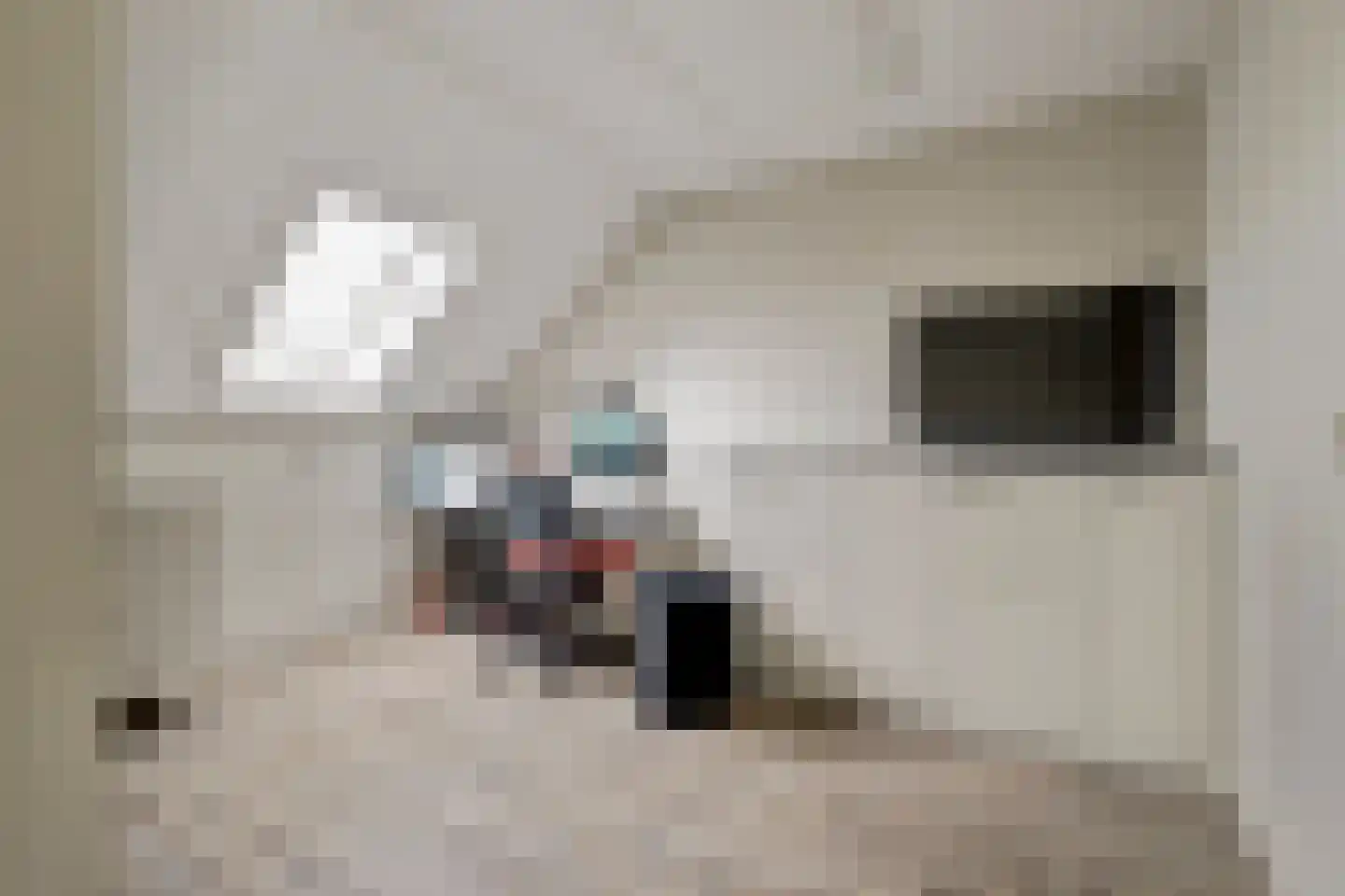 Den Bullick 5 Ochten thumbnail 62
