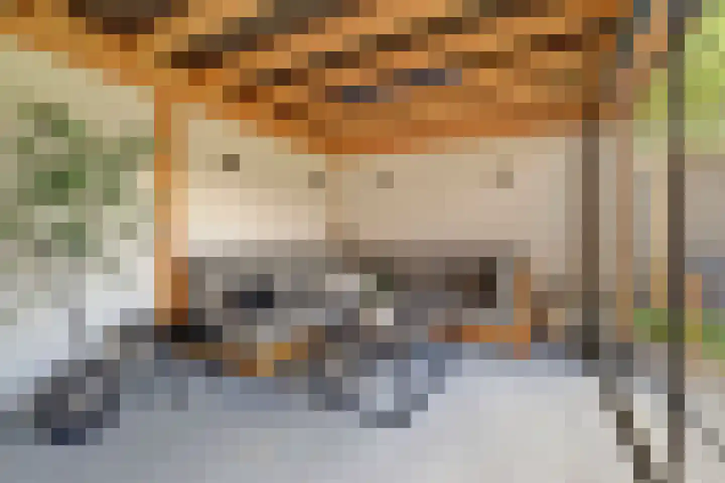 Den Bullick 5 Ochten thumbnail 65