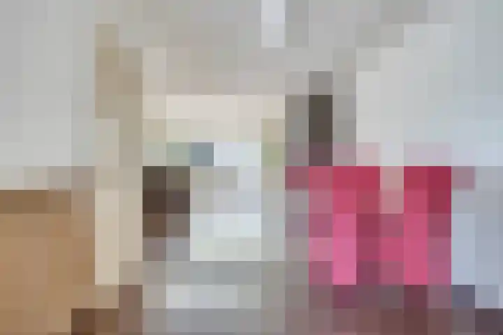 Den Bult 10 Eindhoven thumbnail 11