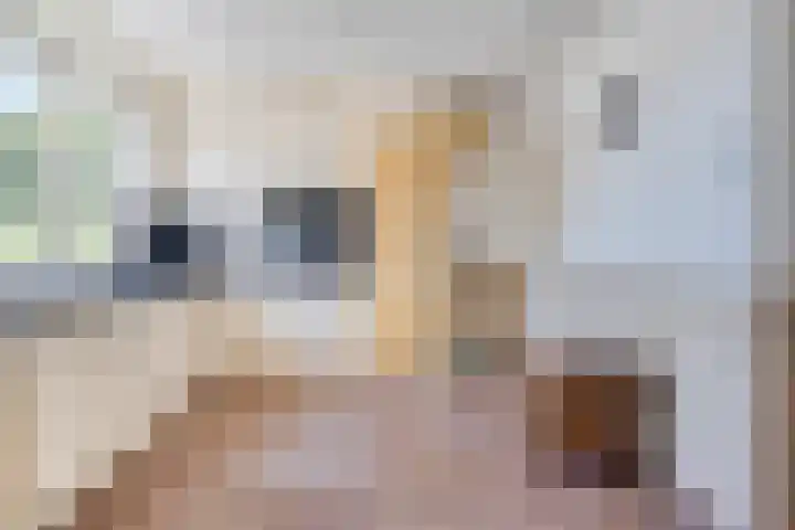 Den Bult 10 Eindhoven thumbnail 13