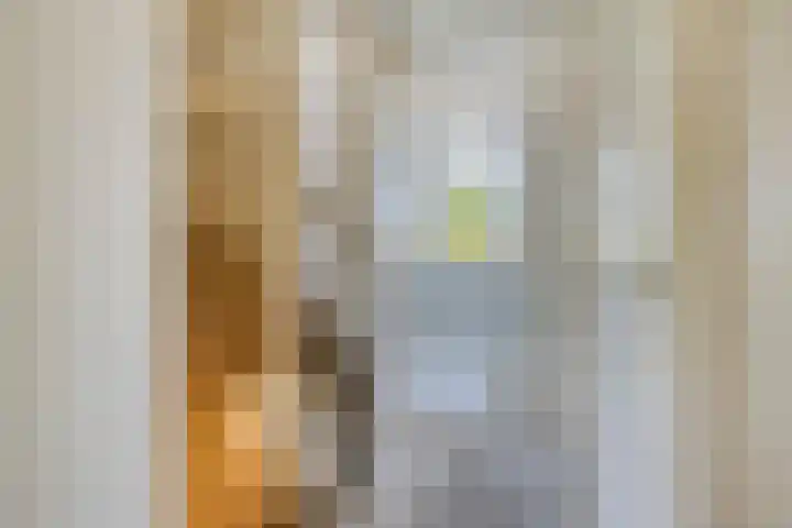 Den Bult 10 Eindhoven thumbnail 18