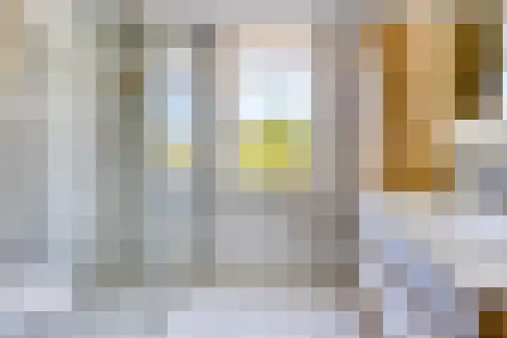 Den Bult 10 Eindhoven thumbnail 21