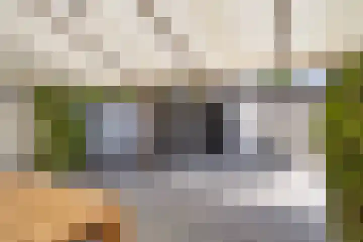 Den Bult 10 Eindhoven thumbnail 29
