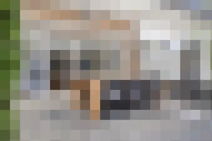 Den Bult 10 Eindhoven thumbnail 32
