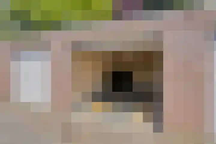 Den Bult 10 Eindhoven thumbnail 34