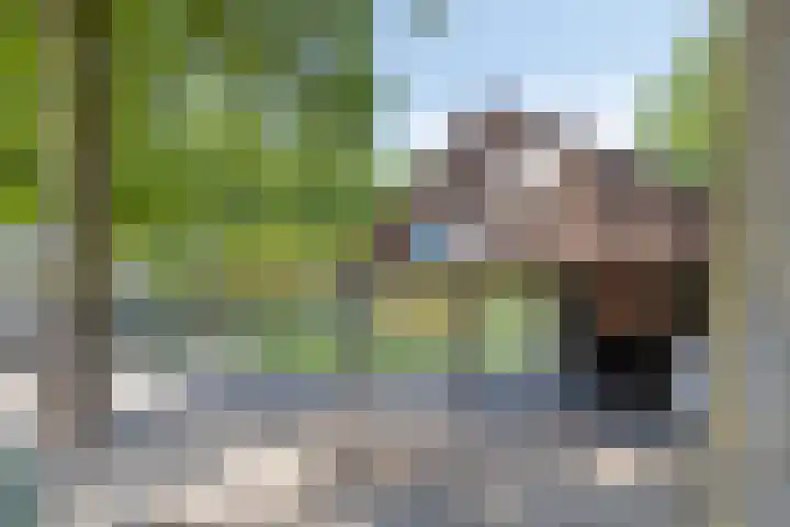 Den Bult 10 Eindhoven thumbnail 37