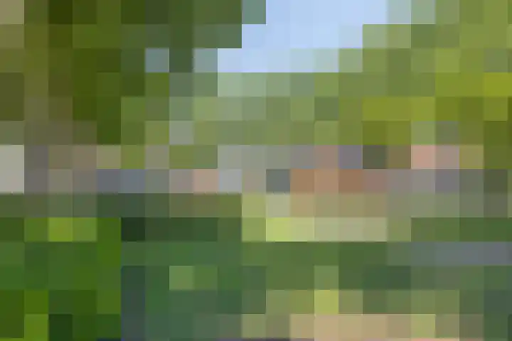 Den Bult 10 Eindhoven thumbnail 38
