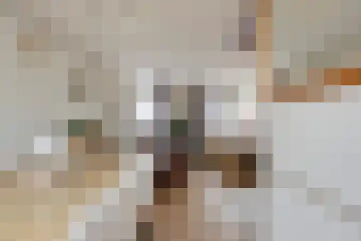 Den Bult 12 Eindhoven thumbnail 10