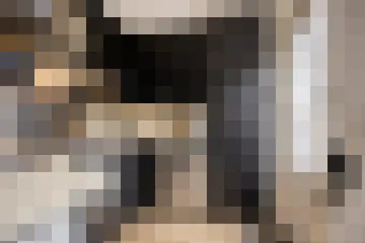 Den Bult 12 Eindhoven thumbnail 11