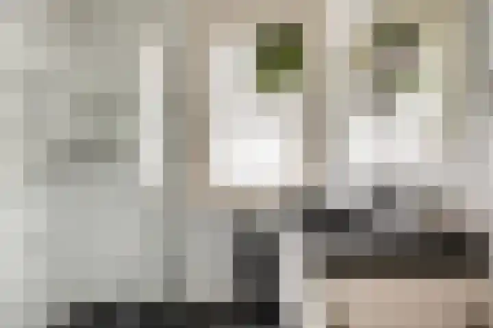 Den Bult 12 Eindhoven thumbnail 15