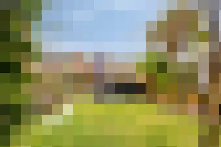 Den Bult 12 Eindhoven thumbnail 18