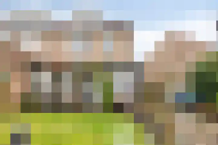 Den Bult 12 Eindhoven thumbnail 19
