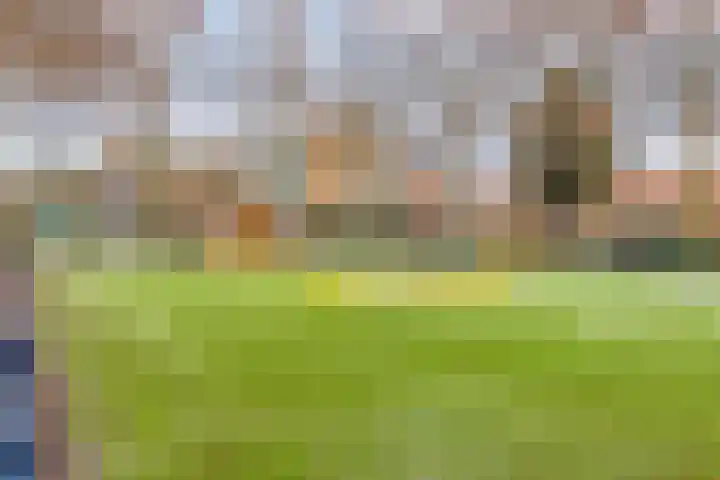 Den Bult 12 Eindhoven thumbnail 20